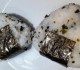 Onigiri furikake philadelphia