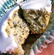 IMG_1980 IMG_1980